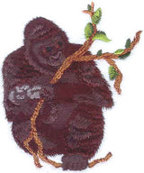 Mountain Gorilla & Baby