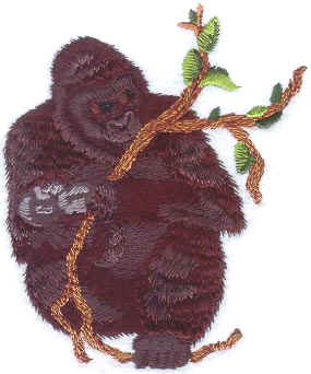 Mountain Gorilla & Baby