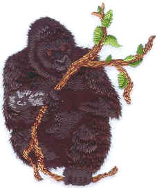 Mountain Gorilla & Baby