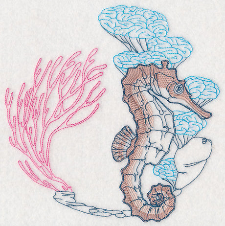 Undersea Seahorse Etching