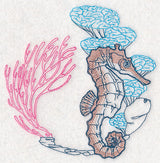 Undersea Seahorse Etching