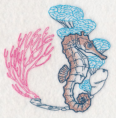 Undersea Seahorse Etching