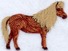 Shetland Pony