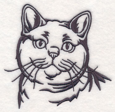 British Shorthair Cat Silhouette