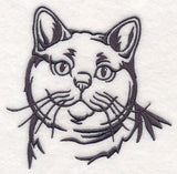 British Shorthair Cat Silhouette