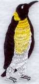 Polly The Penguin