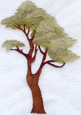 Monkey Tree