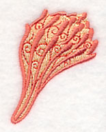 Seashell Potpourri Shell 3