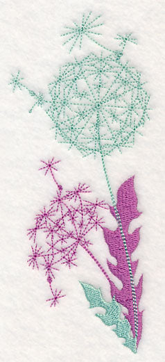 Dainty Dandelions Border