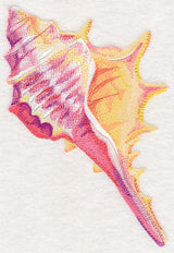 Conch Shell in Watercolor – Embroidery Library