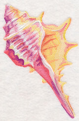 Conch Shell in Watercolor