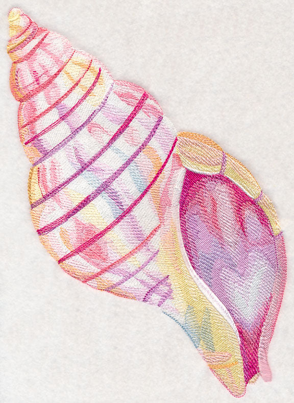 Tulip Shell in Watercolor