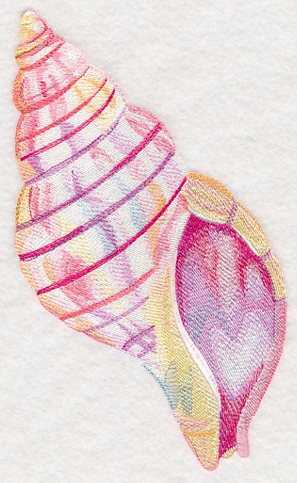 Tulip Shell in Watercolor