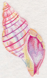 Tulip Shell in Watercolor