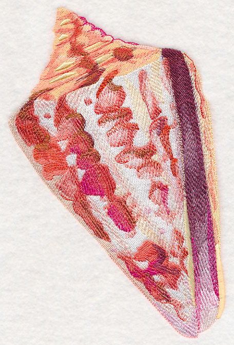 Cone Shell in Watercolor