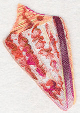 Cone Shell in Watercolor