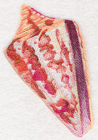 Cone Shell in Watercolor