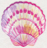 Scallop Shell in Watercolor