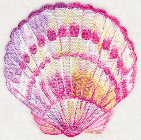 Scallop Shell in Watercolor