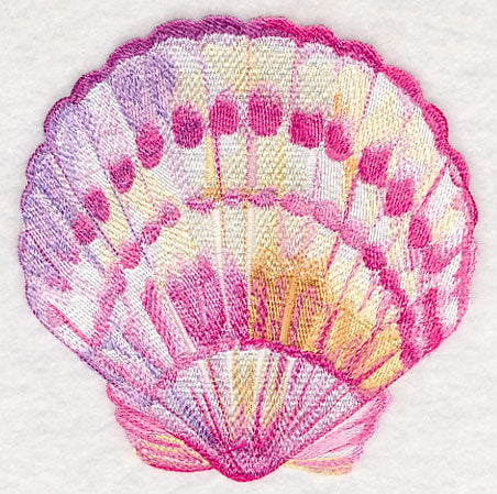 Scallop Shell in Watercolor