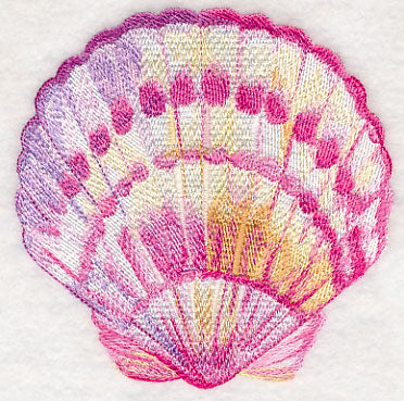 Scallop Shell in Watercolor