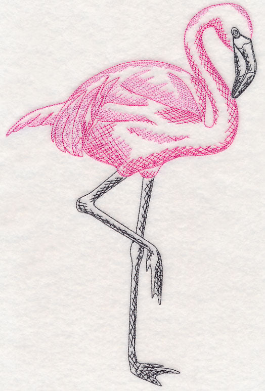 Tropical Flamingo Sketch