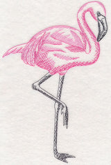 Tropical Flamingo Sketch