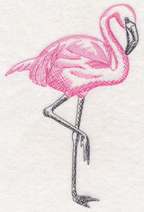 Tropical Flamingo Sketch