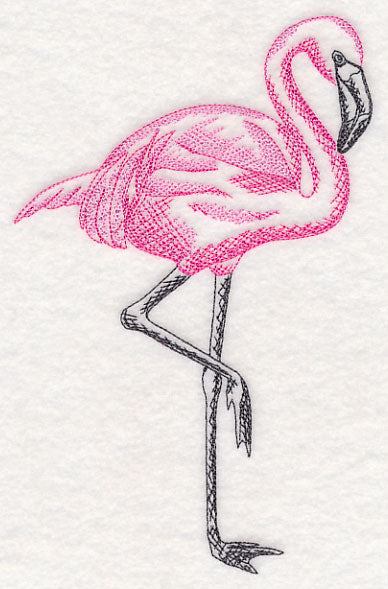 Tropical Flamingo Sketch