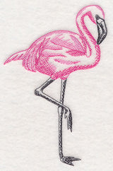 Tropical Flamingo Sketch