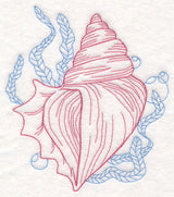 Under the Sea - Seashell
