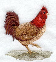 Fashion Rooster 2 - Mirror