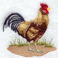 Fashion Rooster 1 - Mirror