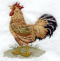 Fashion Rooster 3