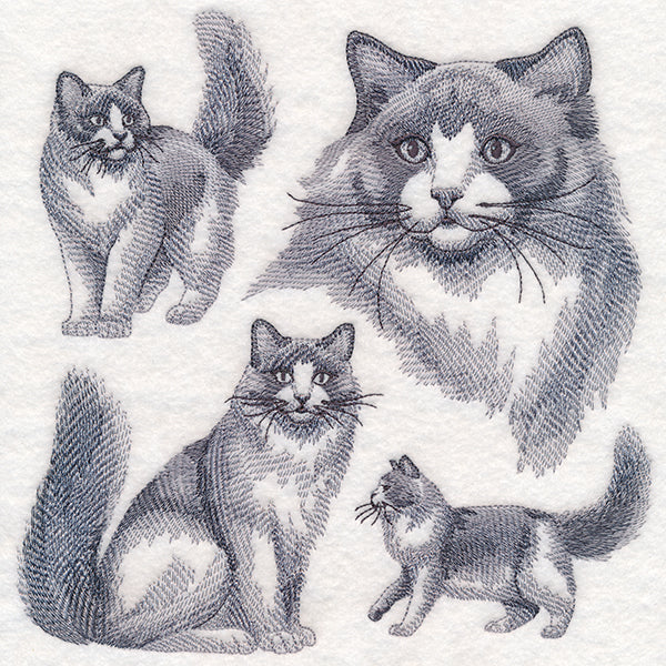 Ragdoll Cat Sketch