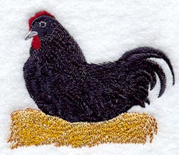 Fashion Hen 3 - mirror