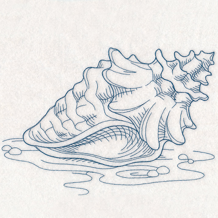 Etching Seashell – Embroidery Library