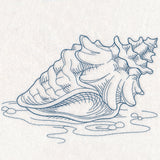 Etching Seashell