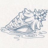 Etching Seashell