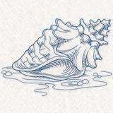 Etching Seashell