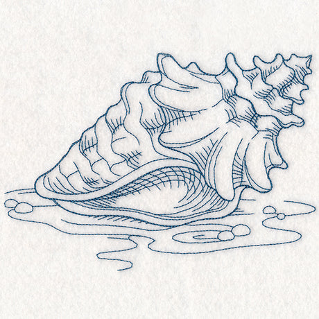 Etching Seashell
