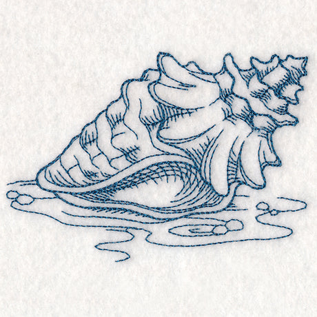 Etching Seashell