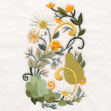 Fresh Pears, Grapes, and Daisies