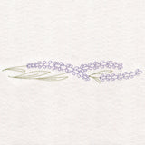 Light Lavender Border (Vintage)