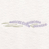 Light Lavender Border (Vintage)