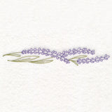 Light Lavender Border (Vintage)