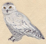 Snowy Owl