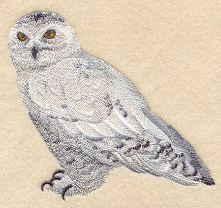Snowy Owl