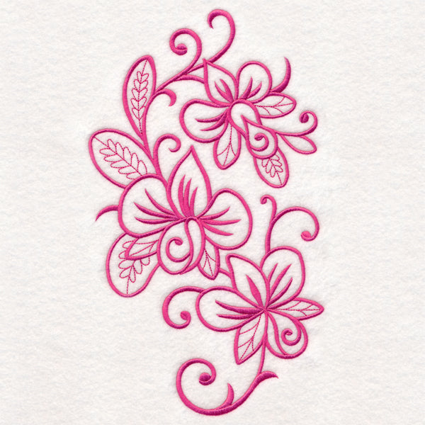 Flowers in Flourish - Orchid