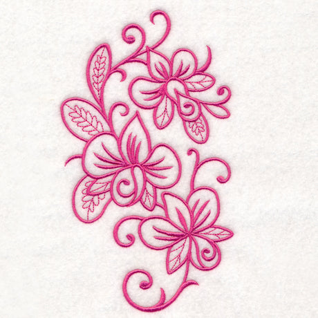 Flowers in Flourish - Orchid